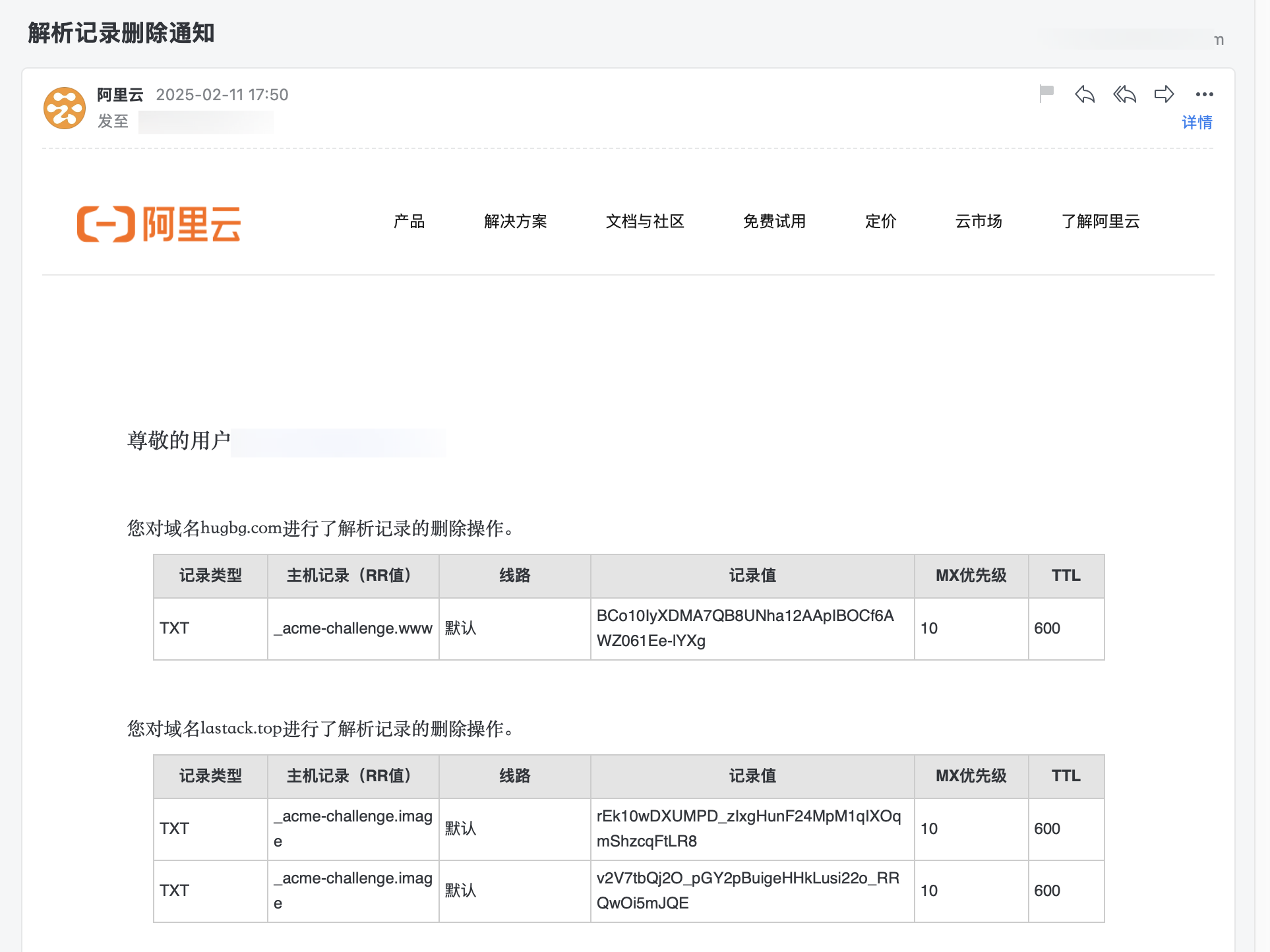 image-20250211191521528