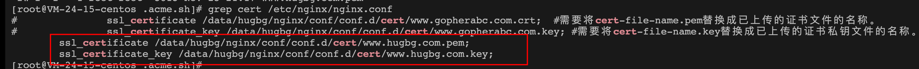 image-20250211160432502