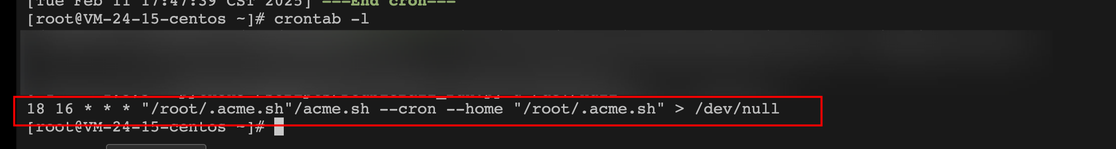 image-20250211175104942